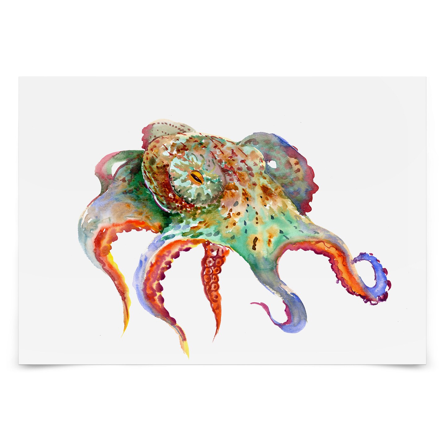 Octopus Red And Green by Suren Nersisyan  Poster - Americanflat