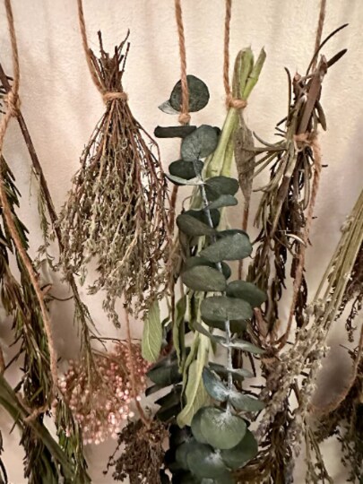 Hanging Herbs and Flowers | MakerPlace by Michaels