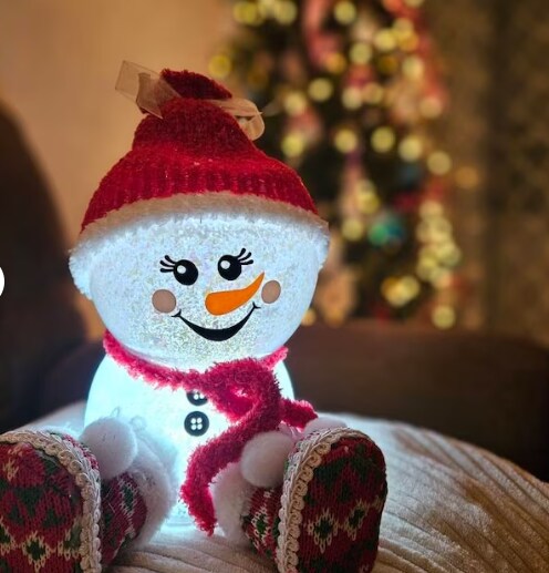Singing Snowman Vinyl