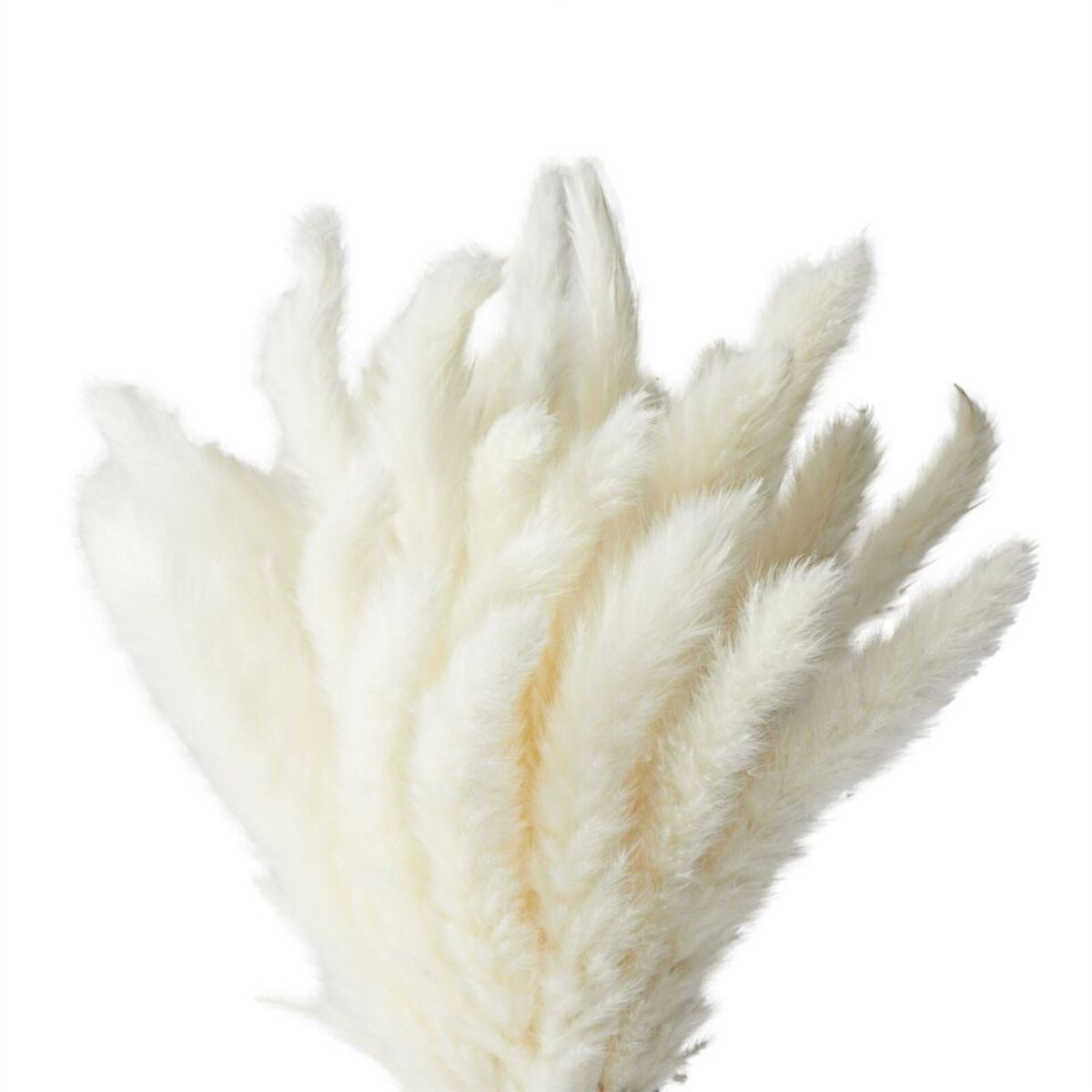 Decorative Pampas Grass with Ceramic Vase 40 packs