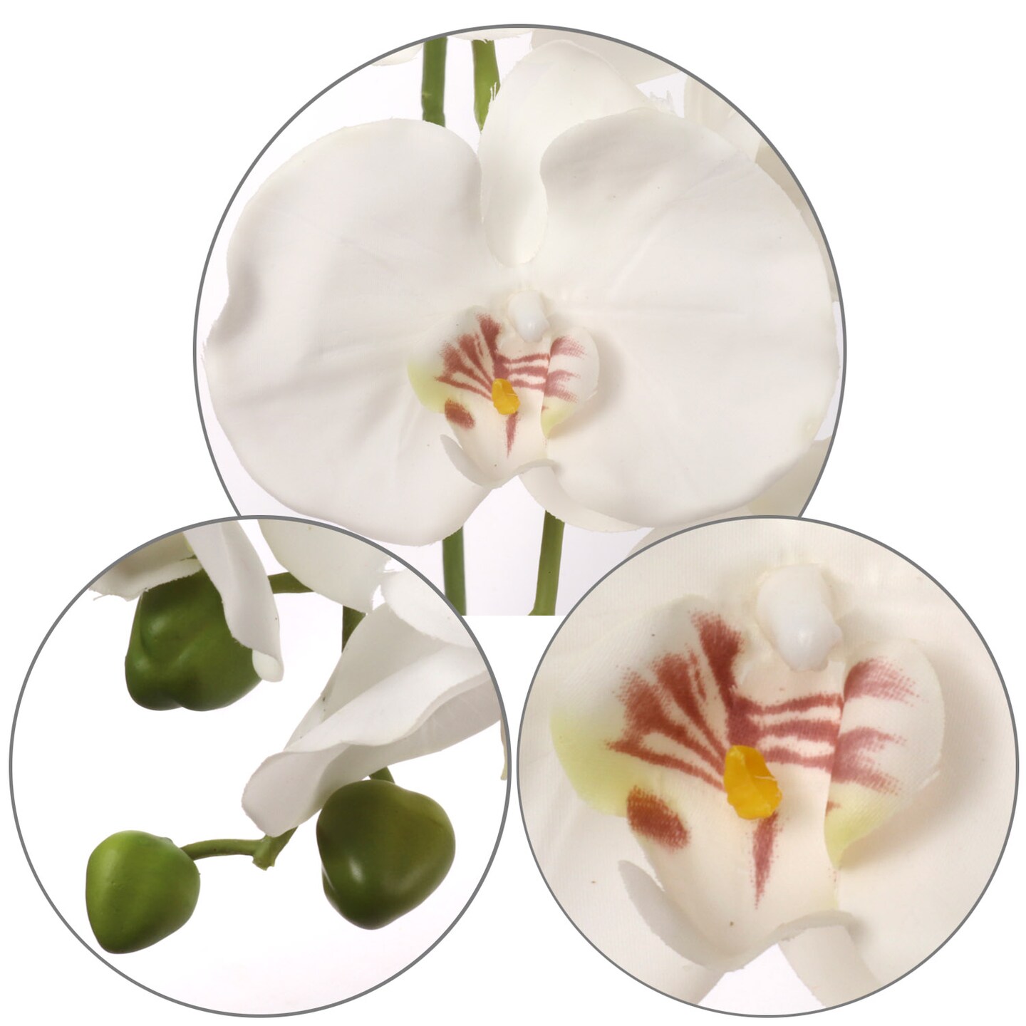 4-Pack: Real Touch White Phalaenopsis Orchid Stem, Floral Home by Artificial Flowers
