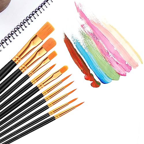 Acrylic Paint Brush Set, (20 Packs /200 pcs) Nylon Hair Brushes for Oil and Watercolor, Perfect Suit of Art Painting, Best Gift for Painting, Black