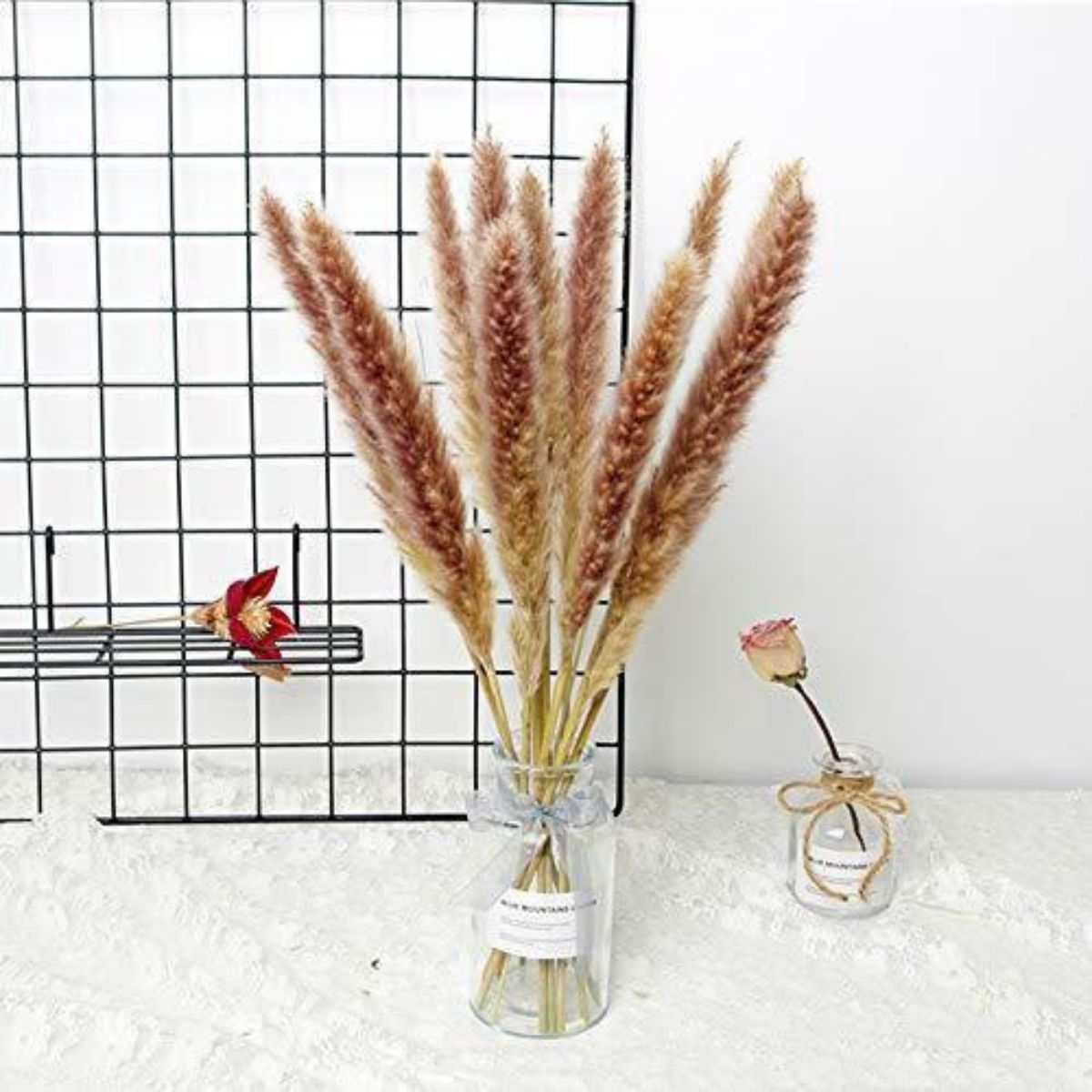 Natural Dried Plants Pampas Grass 30pcs
