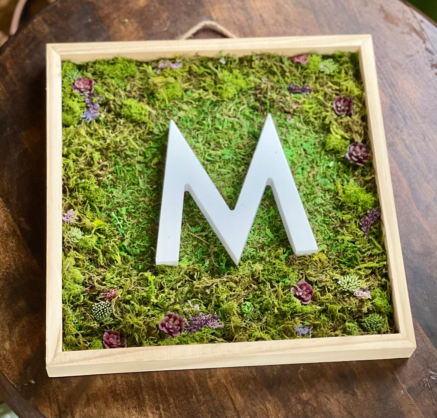 Preserved Moss Wall Art 12x12 Moss Frame May Green