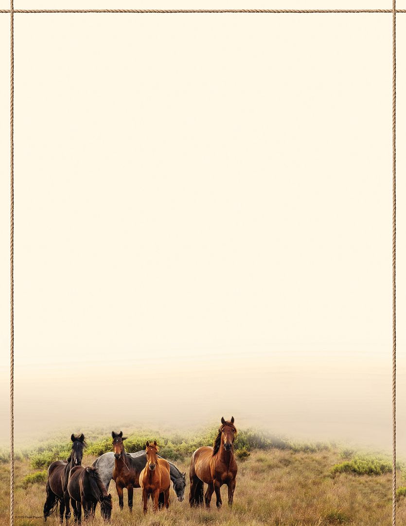 Great Papers! Horse Meadow Stationery Letterhead, Invitations and Announcements, Printer Friendly, 8.5"x11", 80 Pack