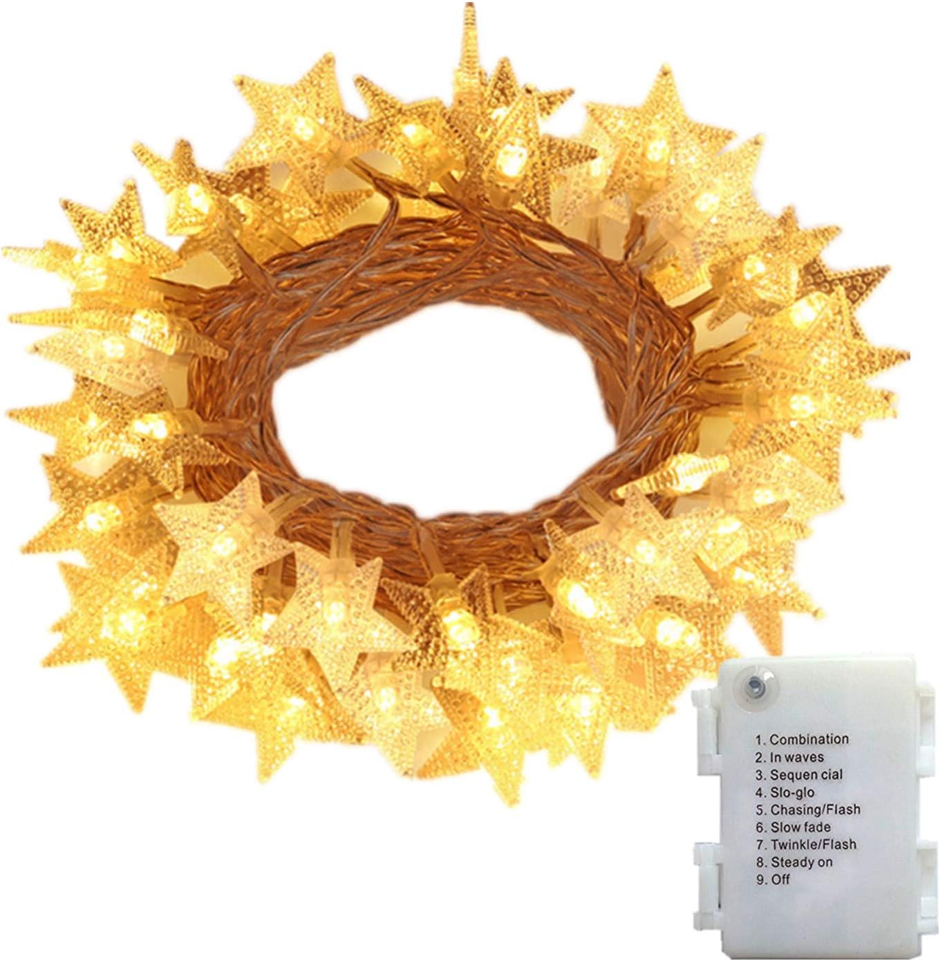 13.2 ft 40 LED Battery Powered Christmas Fairy String Lights