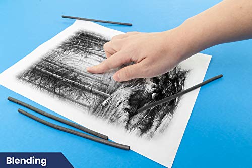 Artist Charcoal, Soft, Black 4 Charcoal Sticks for Drawing, Sketching, and Fine Art