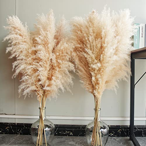 Large Gold Pampas Grass Stem