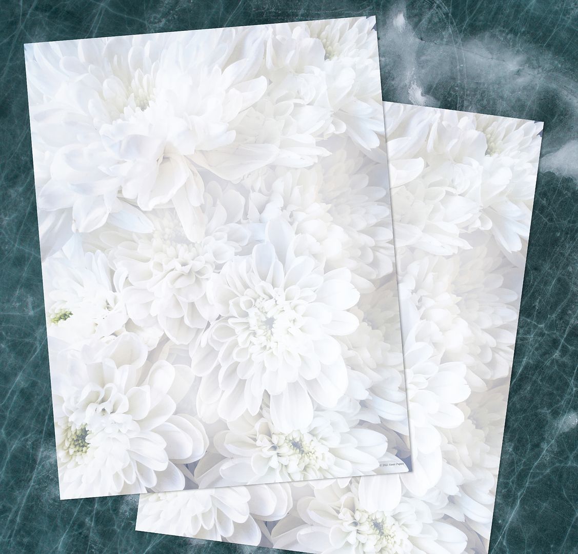 Great Papers! White Soft Petals Stationery Letterhead, Invitations and Announcements, Printer Friendly, 8.5&#x22;x11&#x22;, 80 Pack