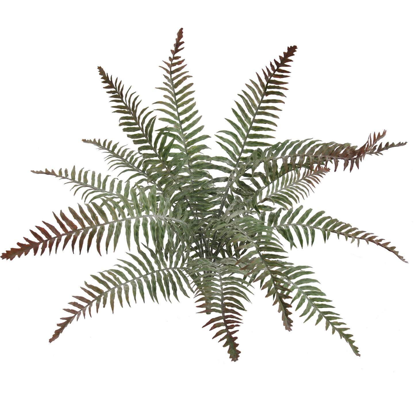 2-Pack: Frost River Fern Bush with 15 Realistic Latex Leaves, 22&#x22; Wide, UV Resistant, Faux Greenery by Floral Home&#xAE;