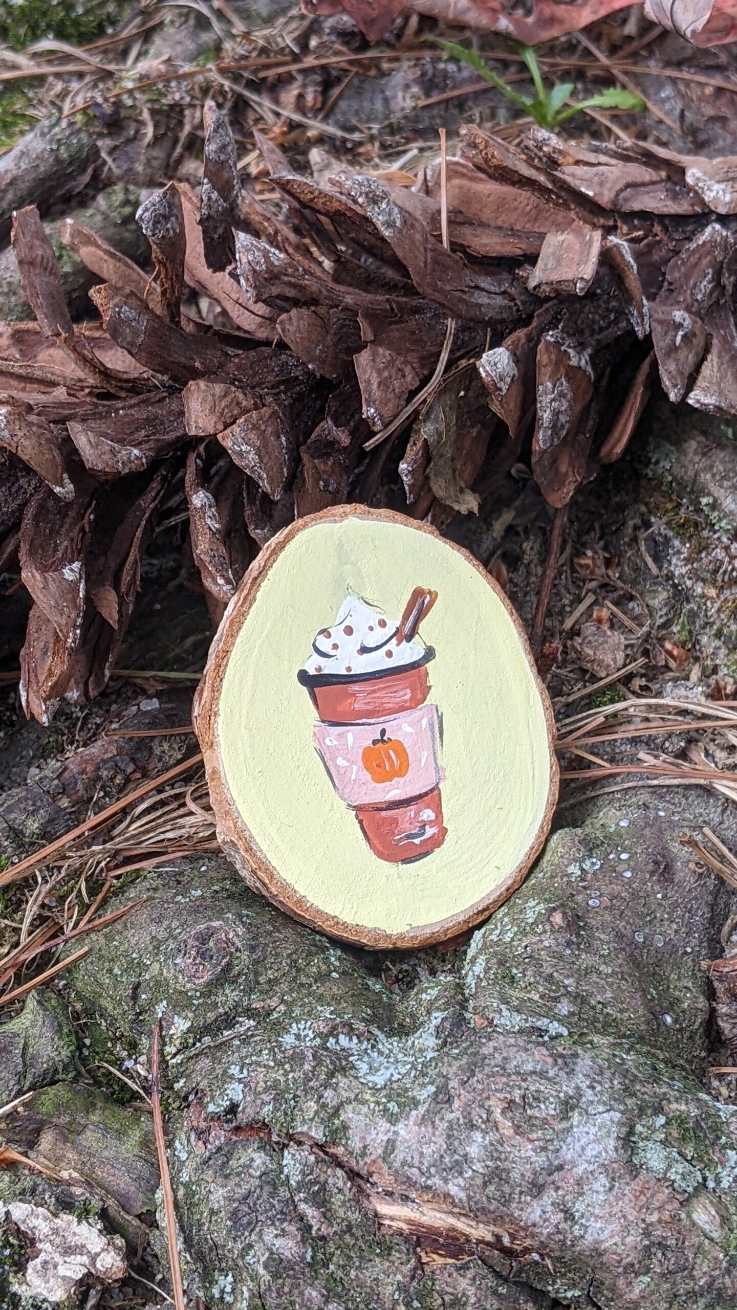 Natural Mini Pumpkin Wood Slice