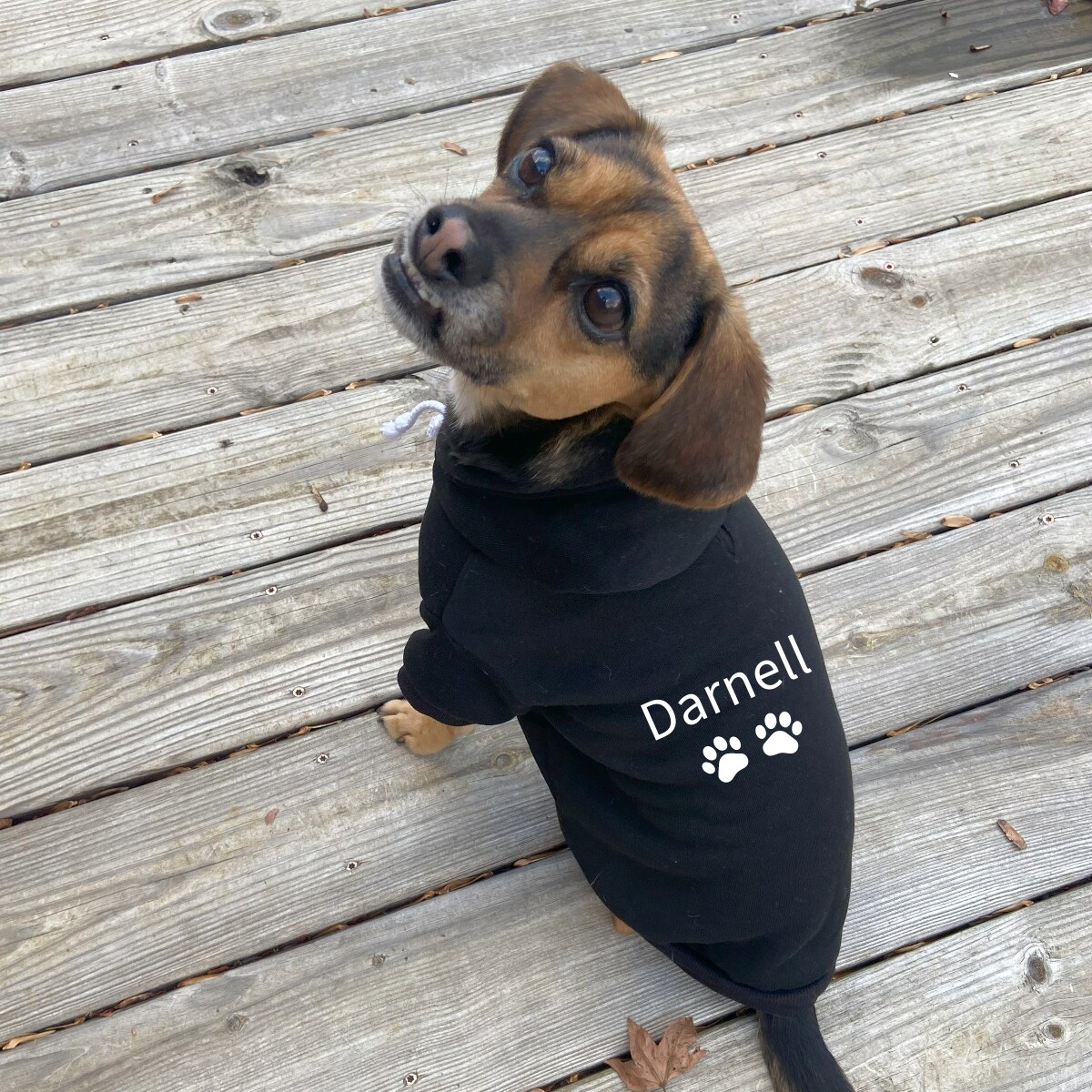 Personalized dog 2025 clothes cheap