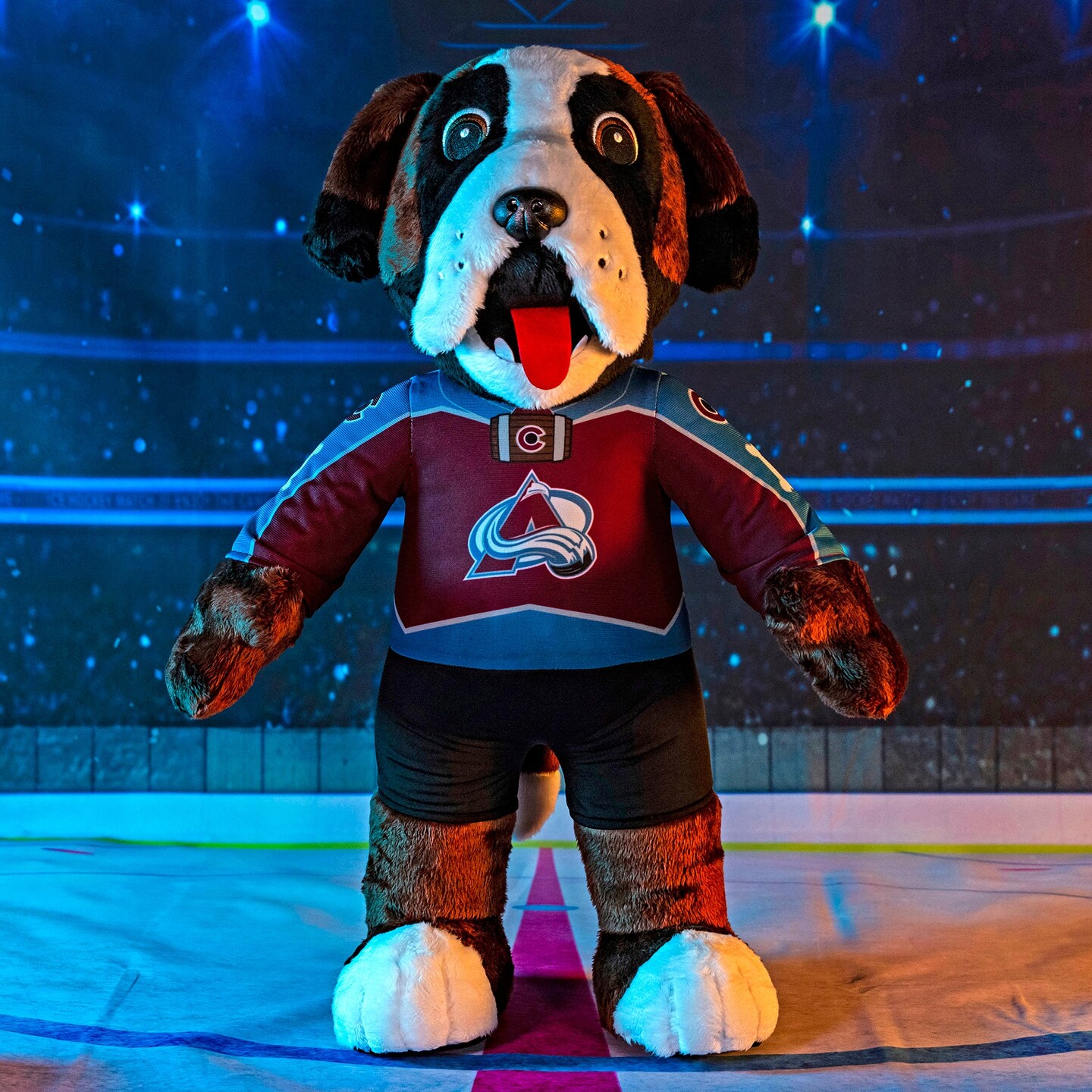 Bleacher Creatures Colorado Avalanche Bernie 20&#x22; Jumbo Mascot Plush Figure