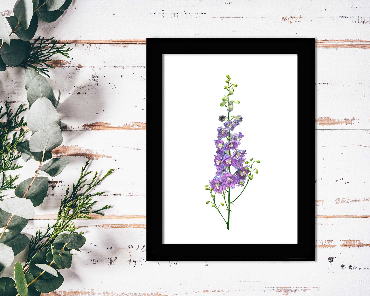 Larkspur Flower Watercolor Art Print Delphinium July Birth Month Flower Painting Wall Art Birthday Gift for Mom Home Decor Wild Flowers Gift product 2
