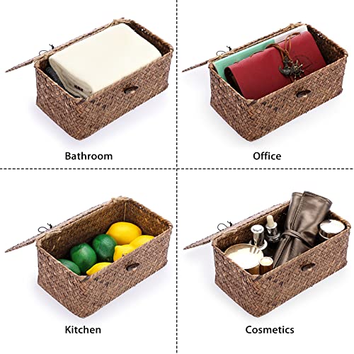 Hipiwe Set of 2 Flat Woven Wicker Storage Bins with Lid Natural Seagrass  Basket Multipurpose Home Boxes for Shelf Organizer (Coffee)