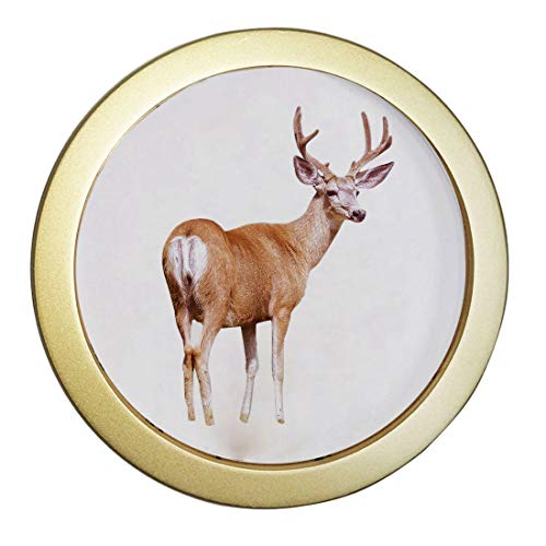 Circle Picture Frames, Round Picture Frames - ArtToFrame