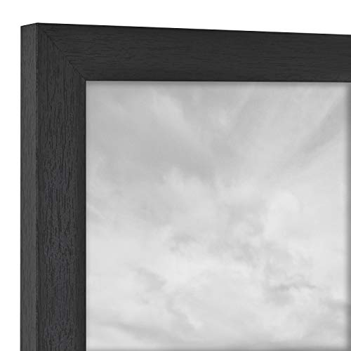 MCS Studio Gallery Frame, Black Woodgrain, 16 x 16 in matted to 8 x 8 in ,  Single