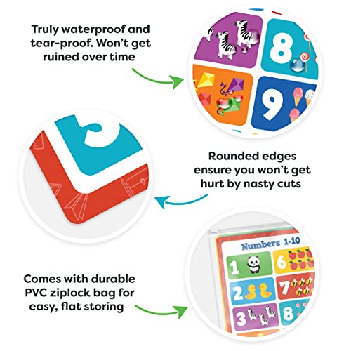 20 Classroom Educational Posters For Preschoolers Toddlers Kindergarten Elementary - 16" x 11" - 20pcs - Learning Posters For Toddlers Wall Preschool Kindergarten Kids Posters Classroom Supplies Decor