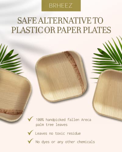 Bamboo Plates made from Palm Leaf - 25 Party Plates - 4 Inch - Eco Friendly Compostable & Biodegradable – Bamboo Disposable Plates Heavy Duty are More Environmentally Friendly than Paper Plates