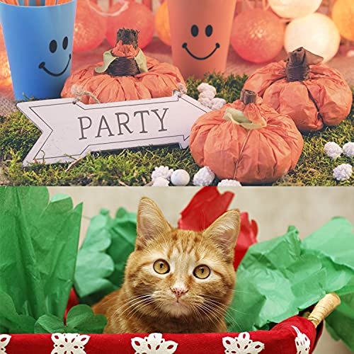 Colored Tissue Paper for Gift Bags Crafts, 14" x 20" Tissue Paper Bulk 100 Sheets Gift Paper Tissue for Packaging - 20 Colors