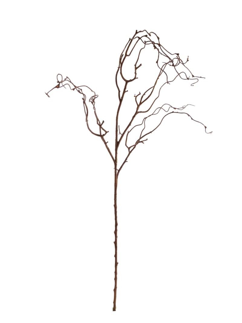 Natural Brown Twig Branch - 24-Pack, Realistic Stems, Lifelike Rustic Décor, Perfect for Floral Arrangements, Events & Home - Ideal for All Seasons, Floral Home by Artificial Flowers