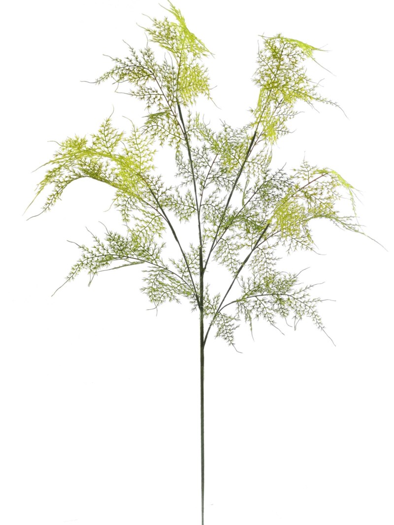 35&#x22; Realistic Asparagus Spray - 12-Pack, 4 Branches Per Spray, Lifelike Greenery, Perfect for Floral Arrangements &#x26; D&#xE9;cor - Ideal for All Seasons, Floral Home by Artificial Flowers