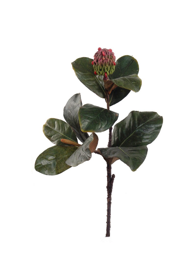 12-Pack: Real Touch Magnolia Leaf Pick with Seed Pod by Floral Home&#xAE;