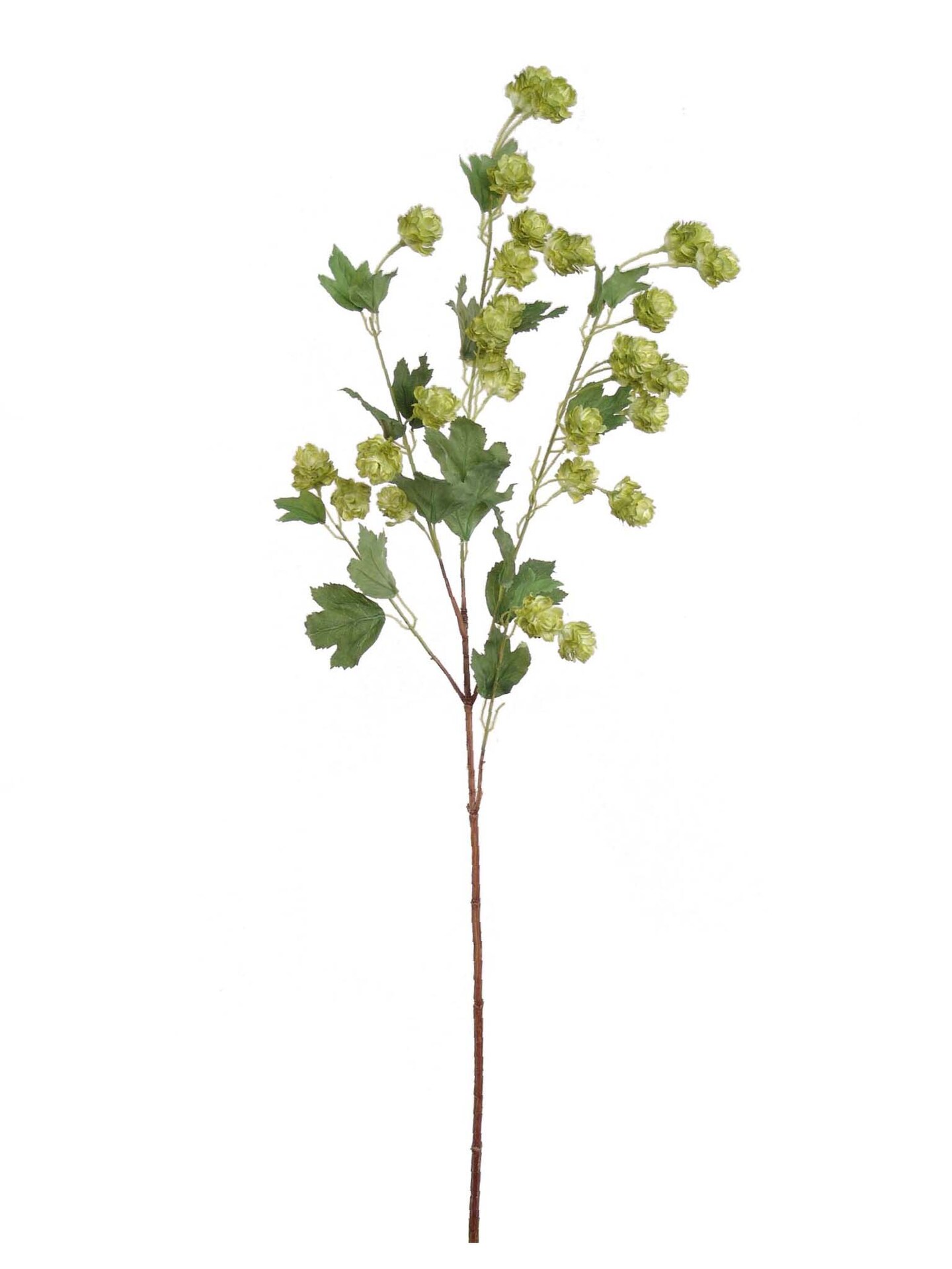 Green Silk Baby Hop Spray by Floral Home®