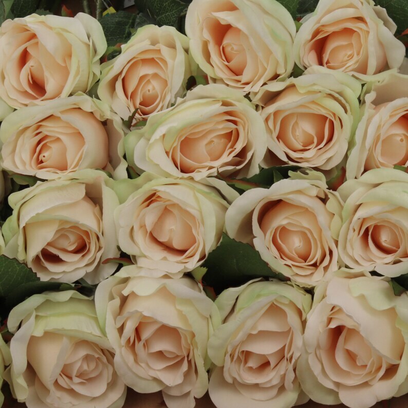 Champagne Chic: 20" Realistic Silk Champagne Rose Bud Stem - 6 Piece Set - Elevate Your Event Decor with these Stylish Flowers