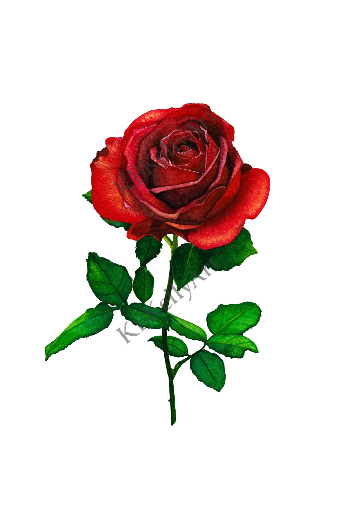 Watercolor Rose Flower Art Print Red Rose Floral Wall Art Birthday Gift for  her Home Decor Gift Botanical Art Mother's Day Grandma Gift Rose |  MakerPlace by Michaels, image size:1440x2038