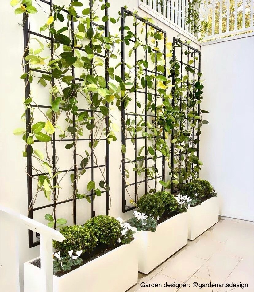 Jumbo Classic Metal Garden Trellis, Multiple Sizes and Colors Available, Wall Mounted or Staked options, up to 12ft, All Aluminum