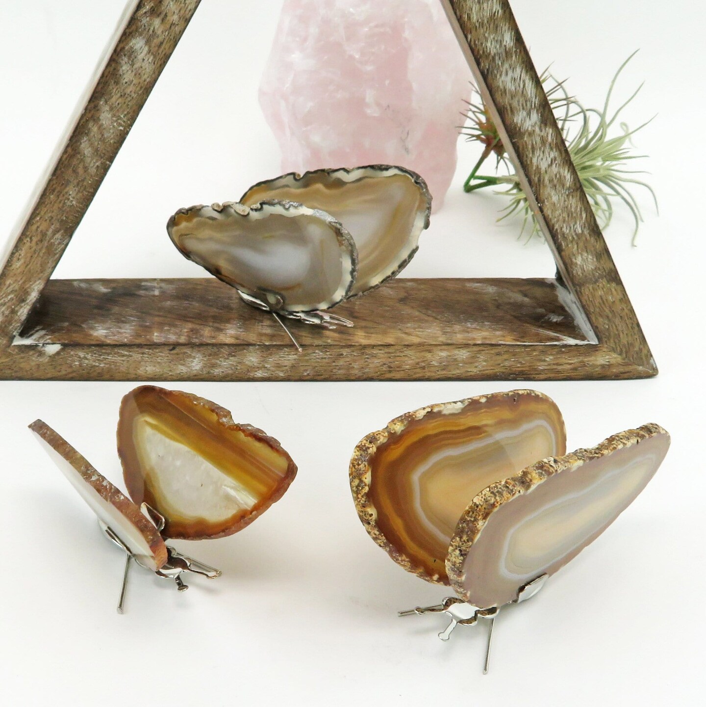 Agate Slice Butterfly Wings on Stand