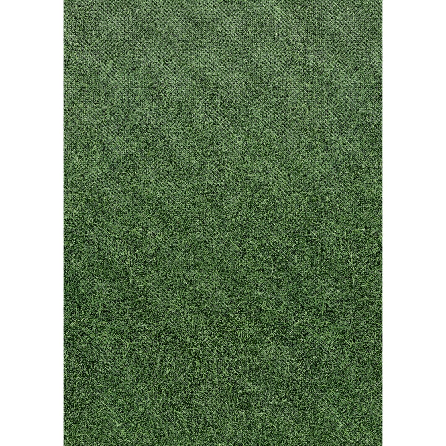 Grass Better Than Paper Bulletin Board Roll, 4&#x27; x 12&#x27;, Pack of 4