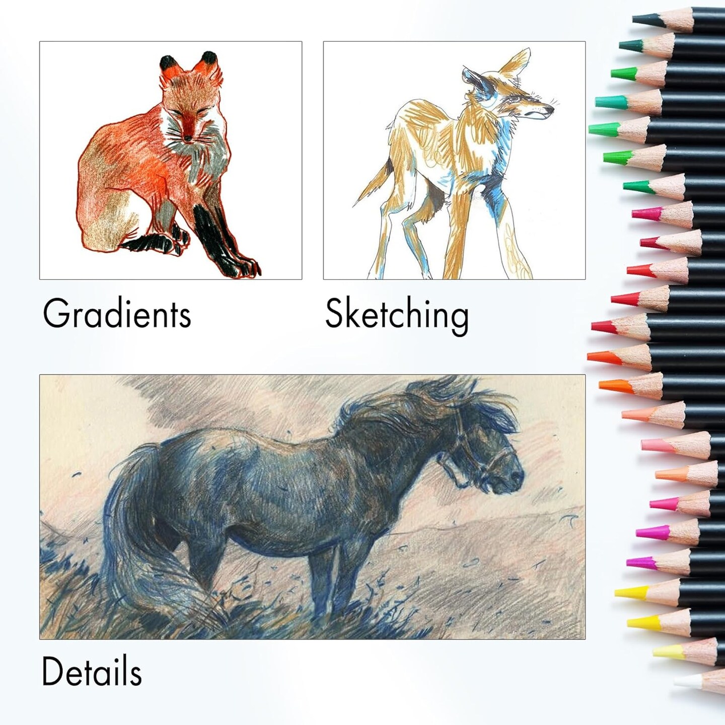 ARTIFY 48 Watercolor Pencils Set,Professional Colored Pencils - Vibrant Colors for Adults, Kids, and Artists | For coloring books, shading,sketching, blending and Layering Books