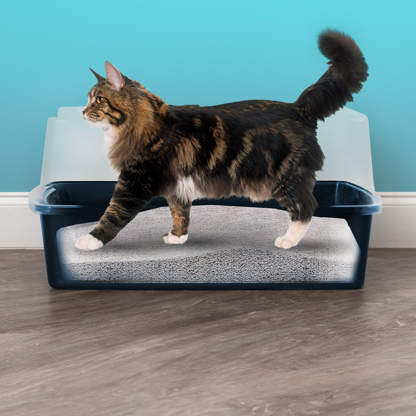 IRIS USA Extra Large Open Top Cat Litter Box with Scatter Shield, Sturdy Easy to Clean Open Air Kitty Litter Pan with Tall Spray