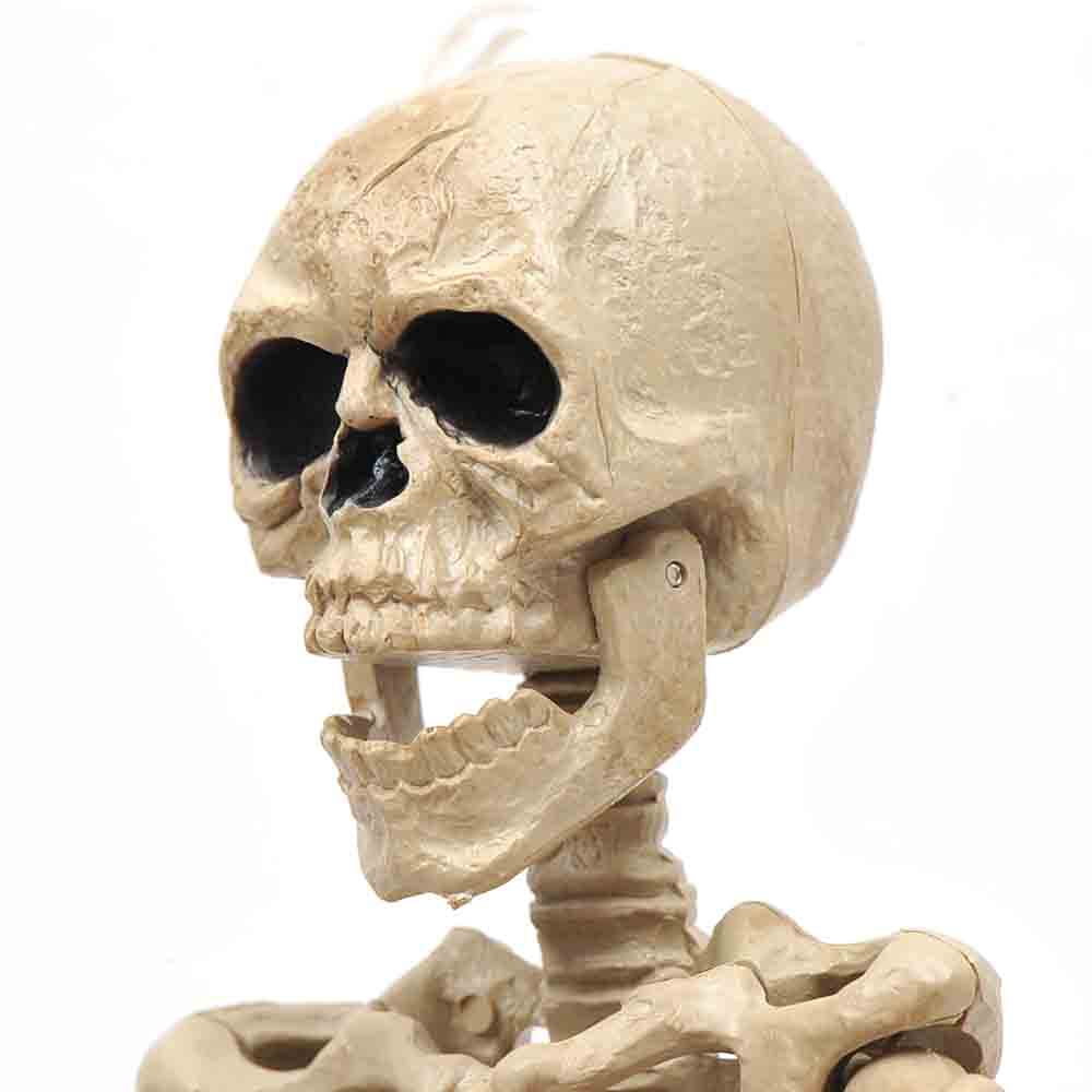16&#x22; Halloween Skeleton,Full Body Skeleton with Posable Movable Joints for Haunted House Props Decorations