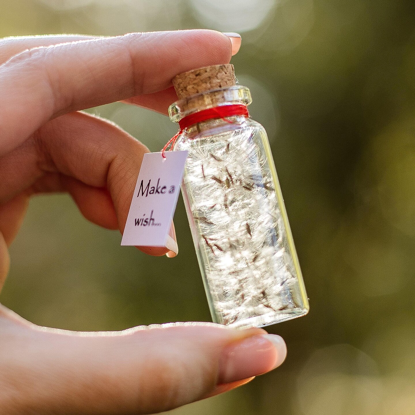Tiny Magical Message in a Bottle Gift Idea   Classy Inspirational Gifts for Him and Her   Unique Presents for Women and Men (White Dandelion   Make a Wish Gift Bottle)