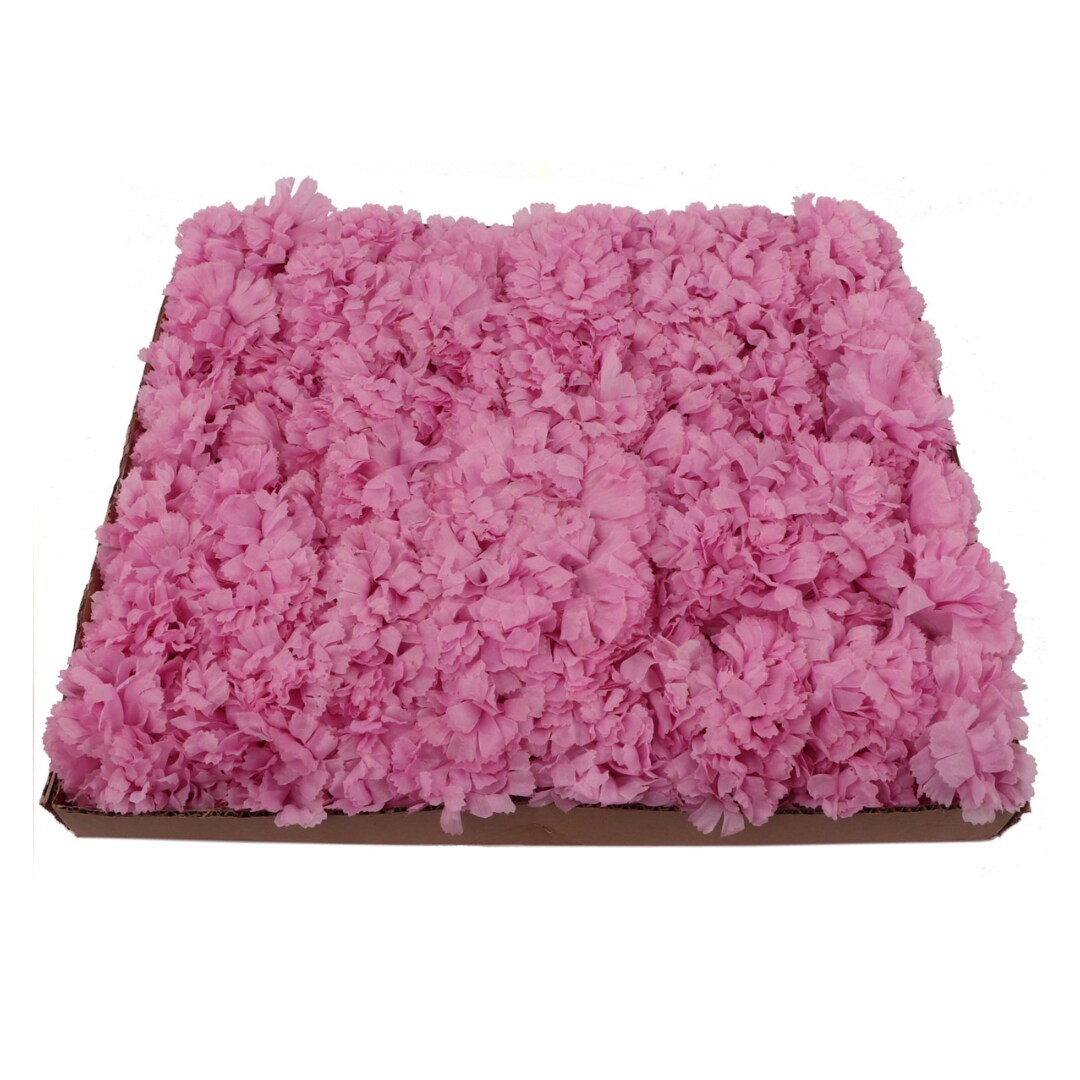 5&#x22; Violet Carnation Flower Picks - Box of 100, 3.5&#x22; Wide Lifelike Silk Blooms, Perfect for Floral Arrangements, Events &#x26; D&#xE9;cor - Ideal for All Seasons, Floral Home by Artificial Flowers