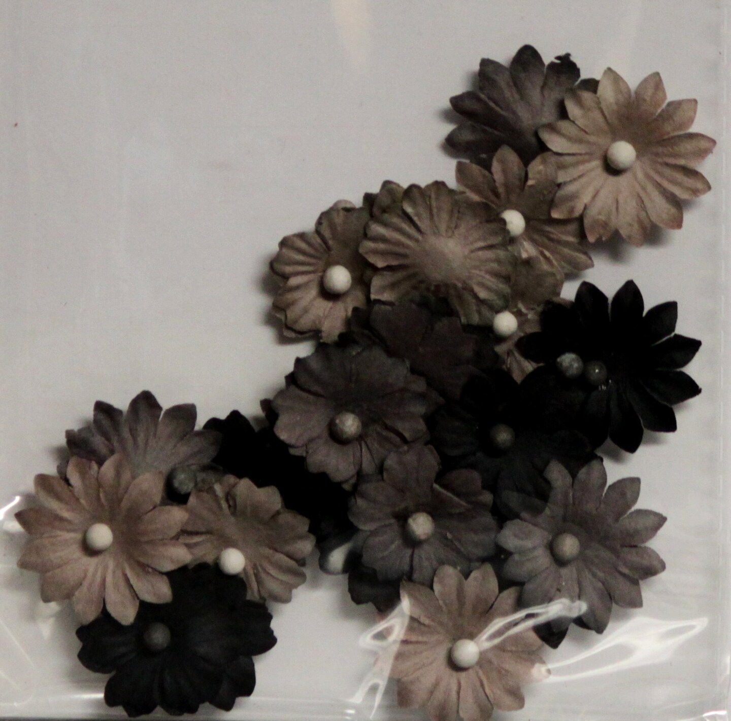 Designer Mini Beiges &#x26; Black Tri-Color Flowers 24 Pieces