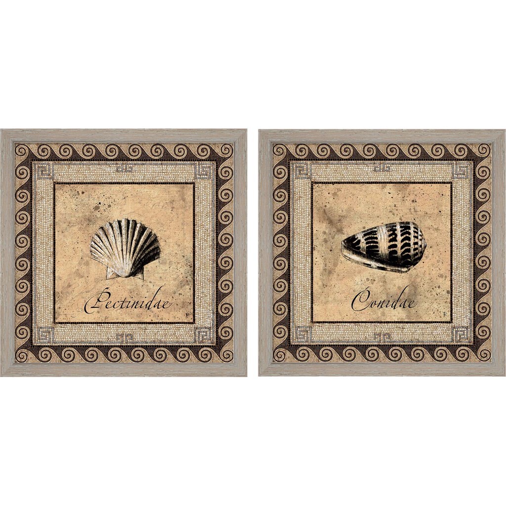 Shell Works by Paul Panossian 14" x 14" Framed Wall Art (Set of 2