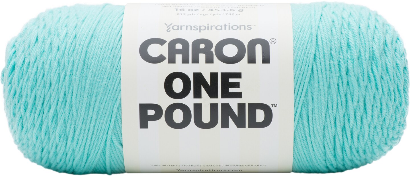 Caron One Pound Century Collection Yarn-Robin&#x27;s Egg
