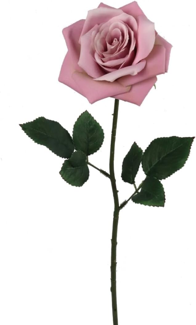 Premium Open Rose Stems Set of 24, 20Inch, with Silk Leaves, Floral