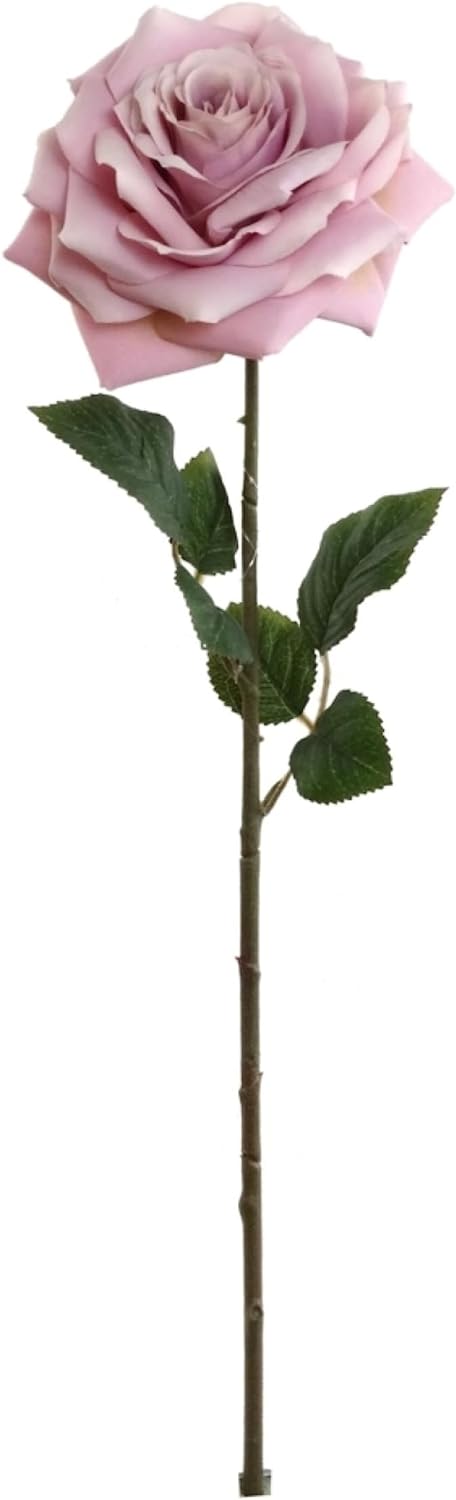 12-Pack: Open Rose Stem with Lifelike Silk Foliage, Floral Home by Artificial Flowers