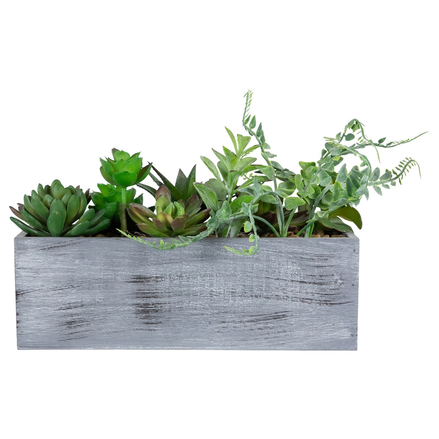 Northlight Artificial Mixed Succulent Plants in a Rectangular Planter - 12"