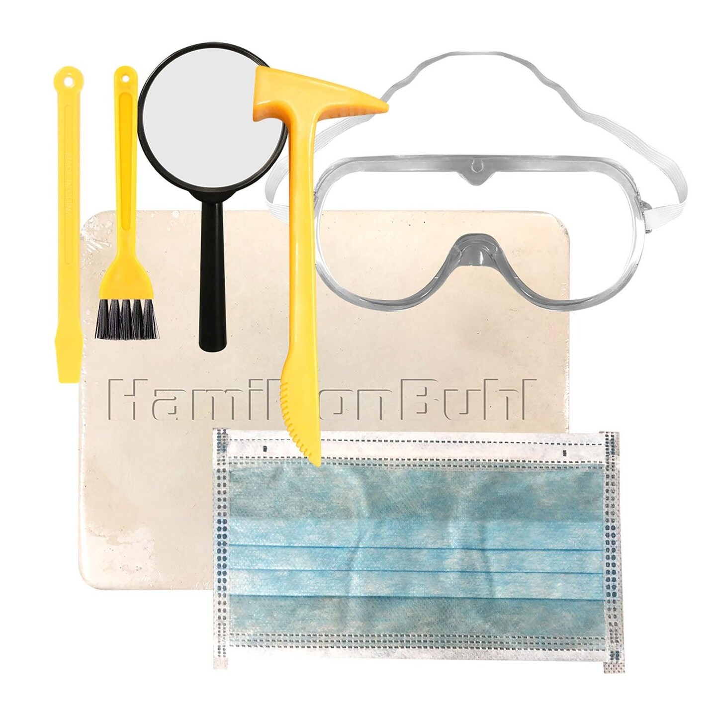 Paleo Hunter&#x2122; Dig Kit for STEAM Education - Velociraptor Rex