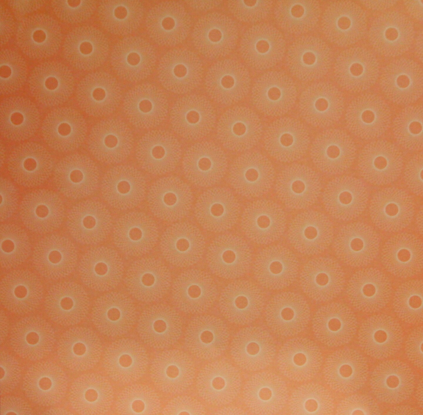 Craft Smith Palm Springs 12 x 12 Lt. Cardstock Paper-Orange Spiral