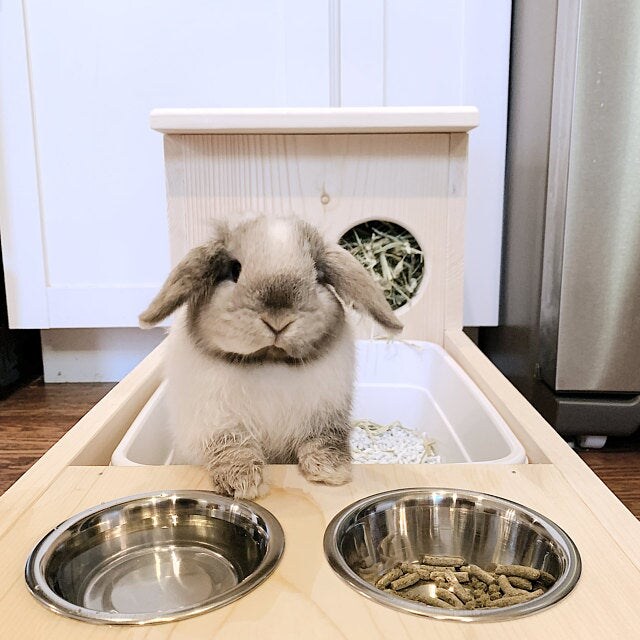 Bunny food and water bowls best sale