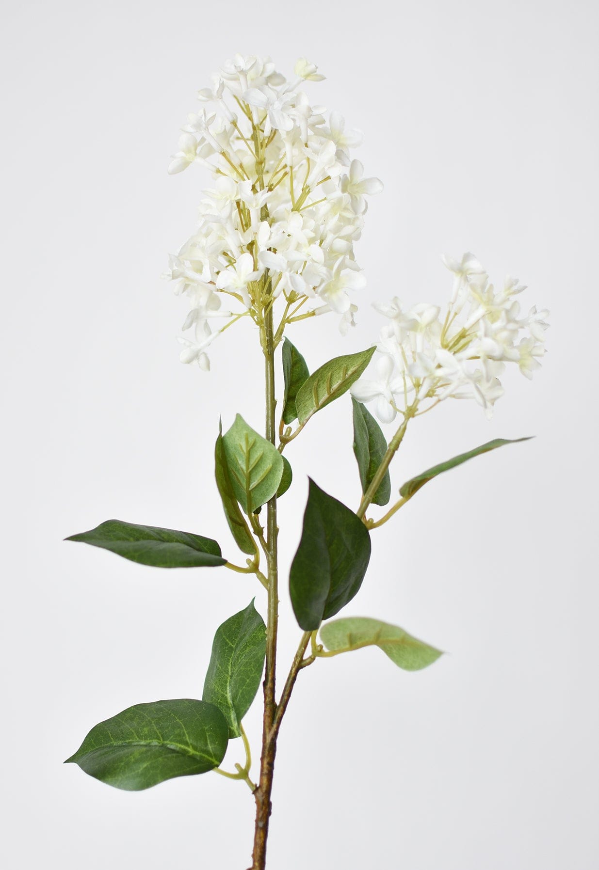 28.5&#x22; Faux White English Lilac Stem