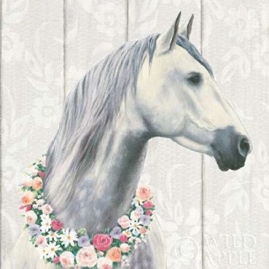 Spirit Stallion I on wood Square Poster Print by James Wiens - Item # VARPDX30122