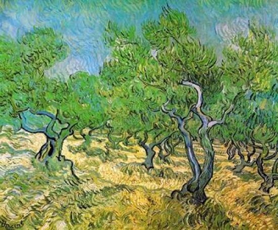 Olive Grove Poster Print by Vincent Van Gogh - Item # VARPDX374521